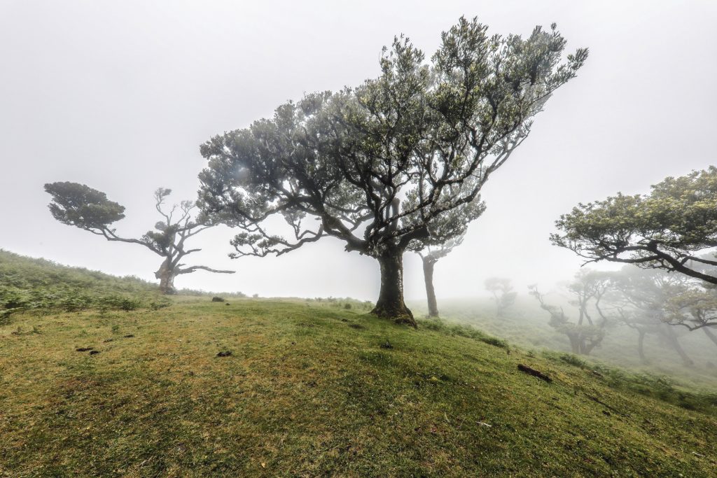 Adattabilità al Cambiamento
