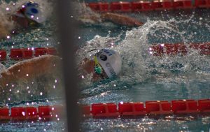 Scopri di più sull'articolo L’eccellenza nell’esecuzione